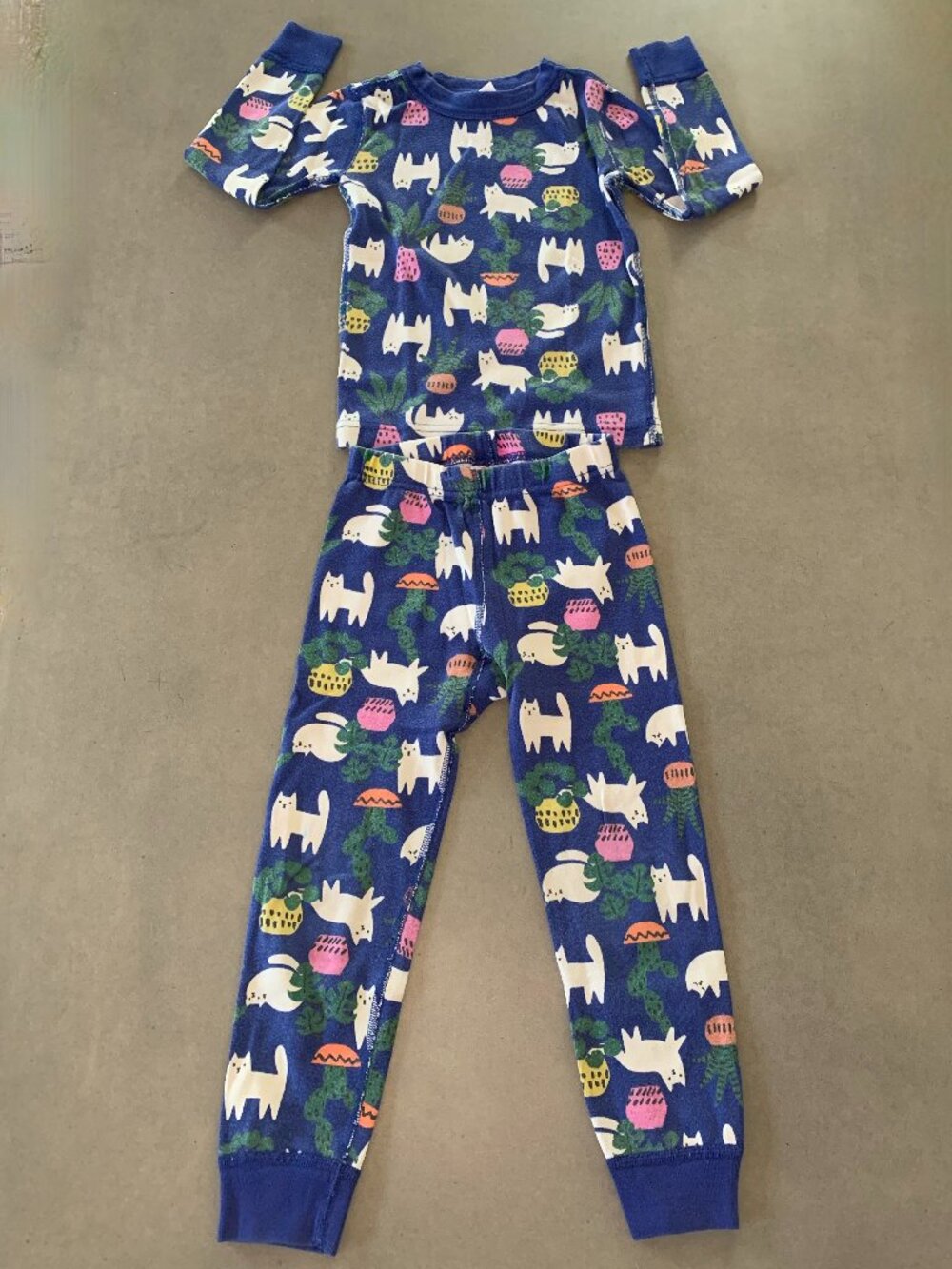 Hanna Andersson Cat & Cactus Organic Cotton Pajama Set Size 4